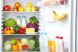 fridge repair service